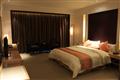 青岛多瑙河国际大酒店高级大床房